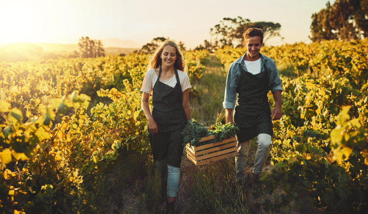 Imagen representando Cooperativas Agro Alimentarias